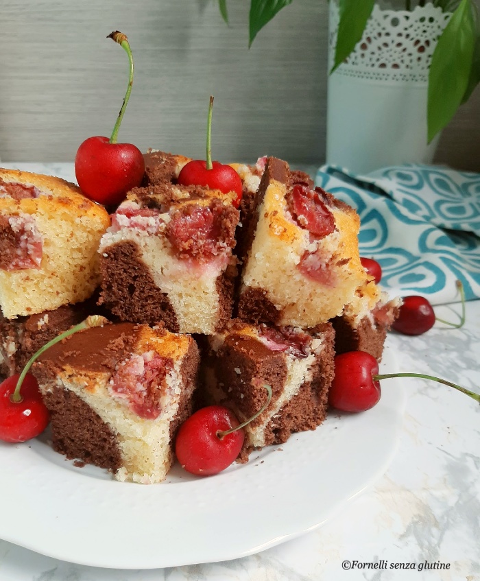 TORTA MARMORIZZATA SENZA  GLUTINE CON CILIEGIE